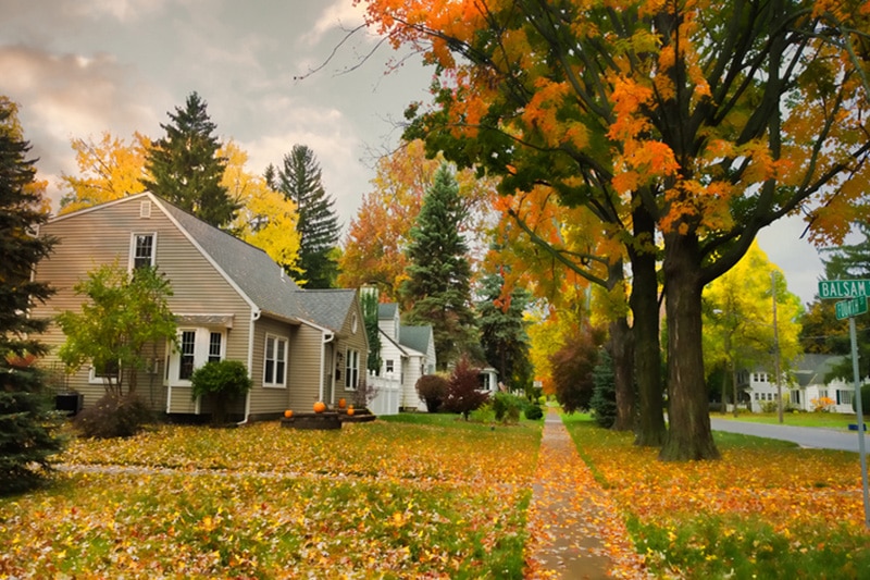 A row of homes with trees losing their leaves out front | Fall HVAC Maintenance | Keep Your Systems Running | Saint Joseph, MN